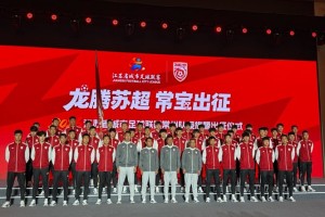 2026苏超常州队授旗成立，郑小田挂帅王宏宇任队长|黄紫昌|赵连平|江苏省城市足球联赛|江苏足球联赛|南通队_新浪体育_新浪新闻