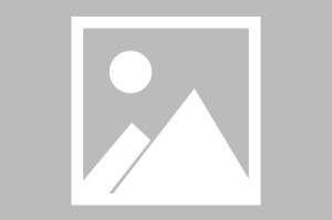 爱游戏app下载-阿韦洛亚：很诧异皇马跌入谷底的说法，我们可没有长达50年冠军荒